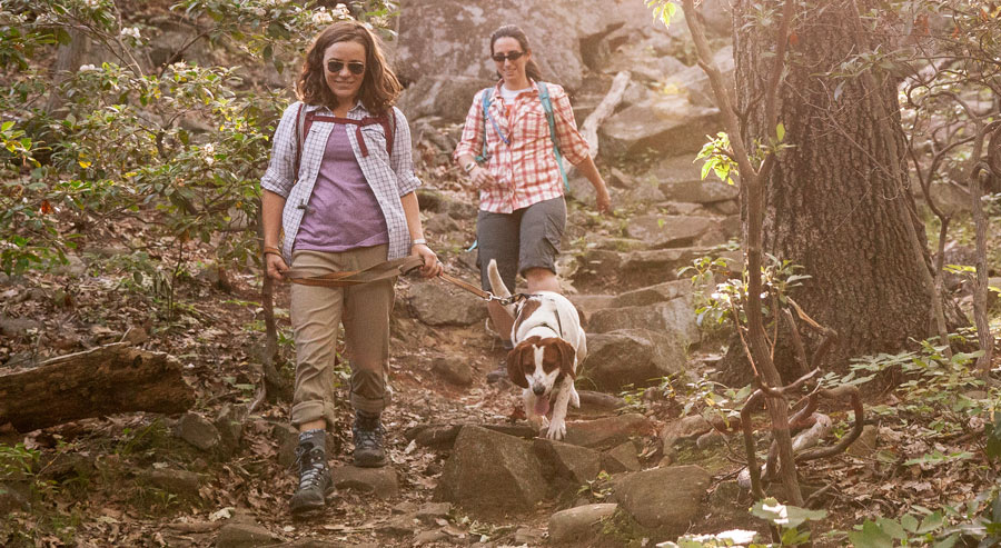 two hikers on the trail with their dog