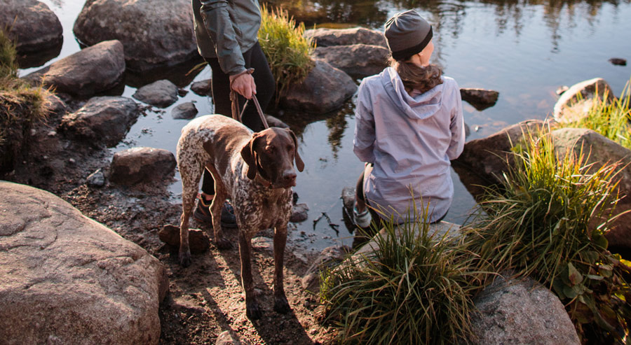 a god and two hikers taking a break along a stream