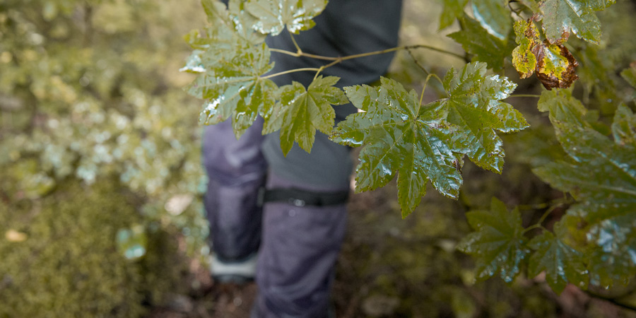 a hiker with gaiters on walking along a wet trail on a rainy day