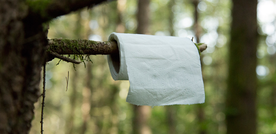 toilet paper placed on a tree branch in the backcountry