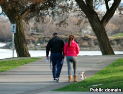 A couple walks their dog.