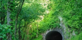 Nice Smoky Mountains Nationwide Park Customer Information